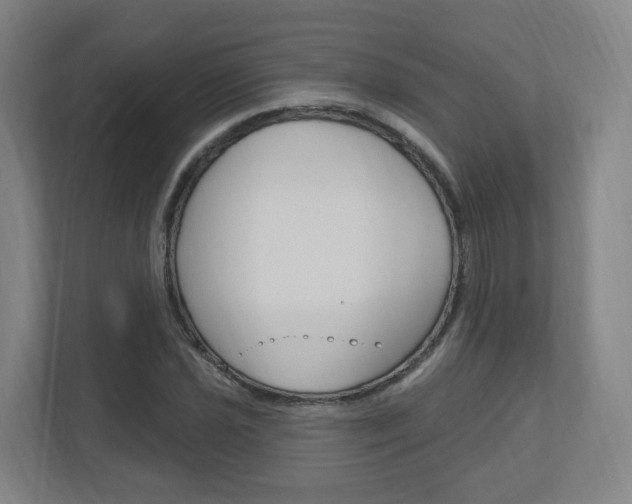 X0000111041021200906251133
