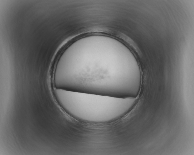 X0000111041024200906251133