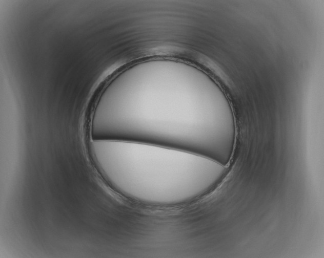X0000111041026200906251133