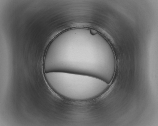 X0000111041033200906251133