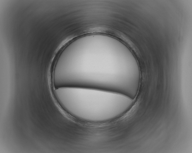 X0000111041034200906251134