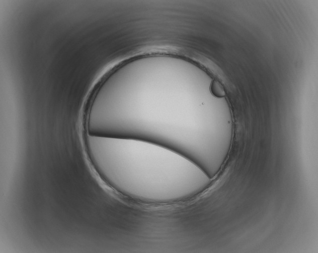X0000111041038200906251134