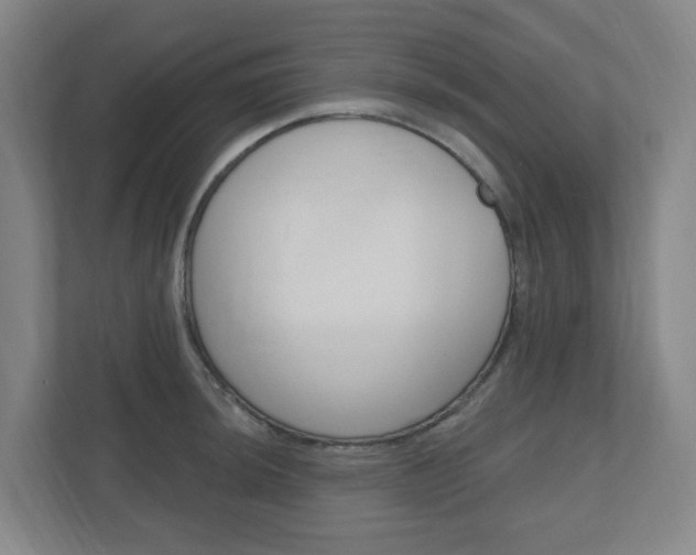 X0000111041044200906251134