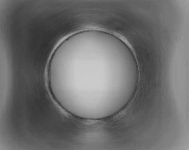 X0000111041056200906251134