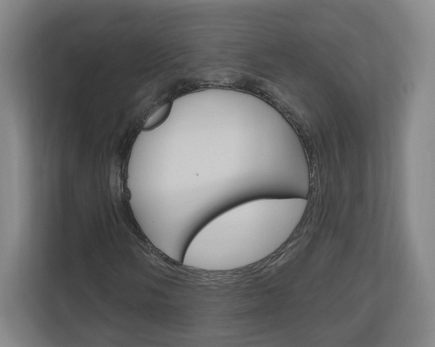 X0000111041058200906251133