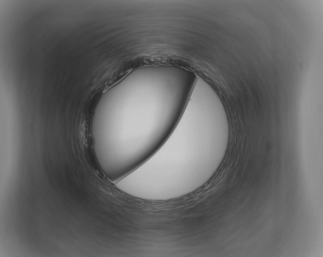 X0000111041060200906251133