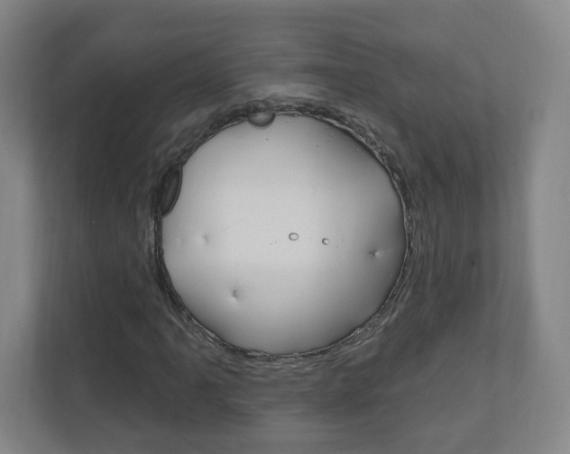 X0000111041061200906251133