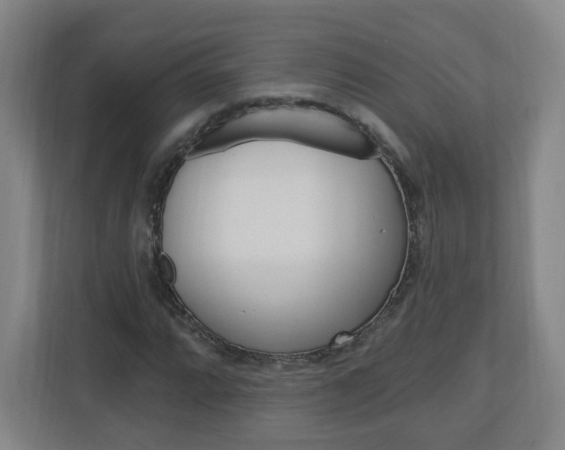 X0000111041064200906251133