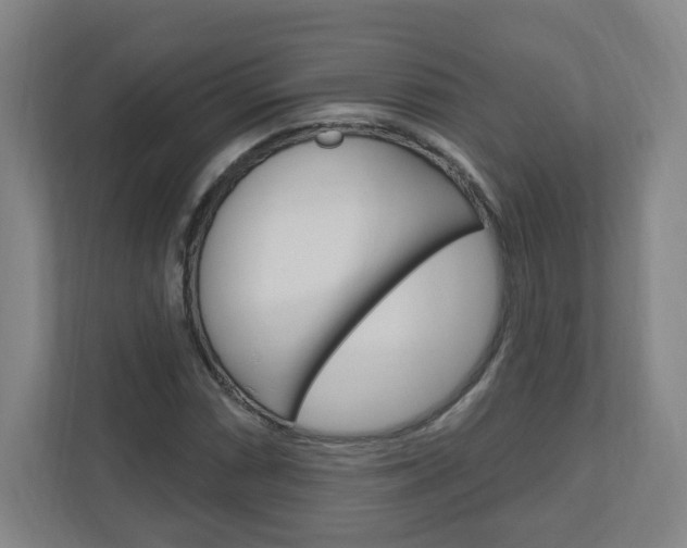X0000111041066200906251133