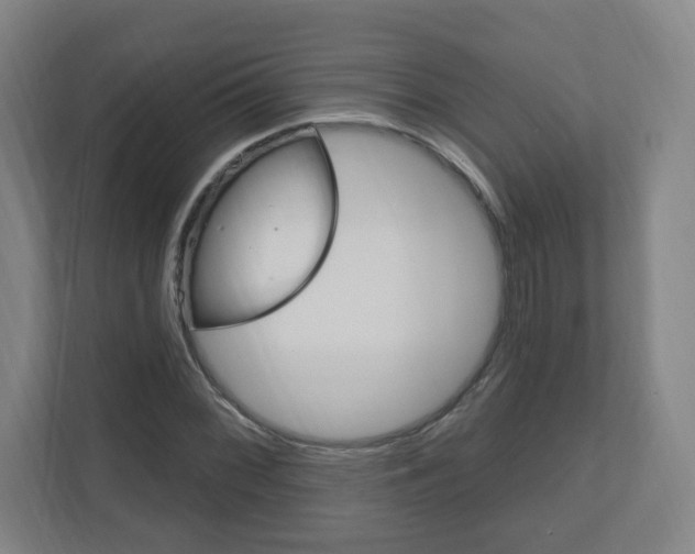 X0000111041068200906251133