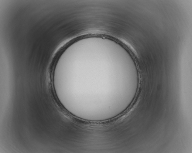 X0000111041070200906251133