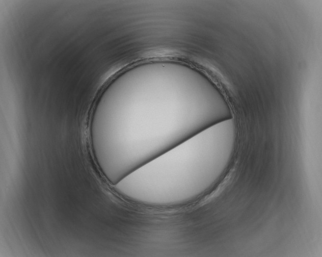 X0000111041073200906251133