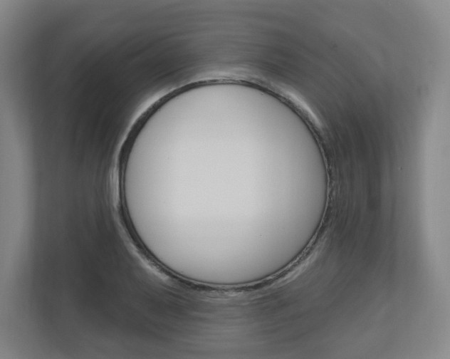X0000111041079200906251133