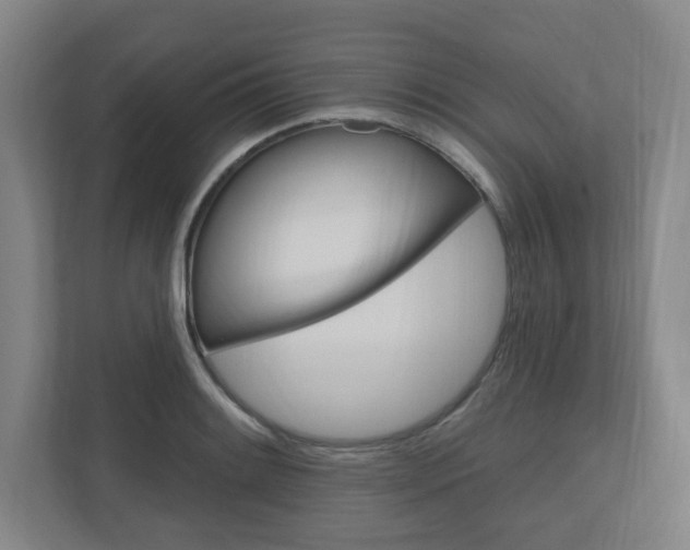X0000111041084200906251133