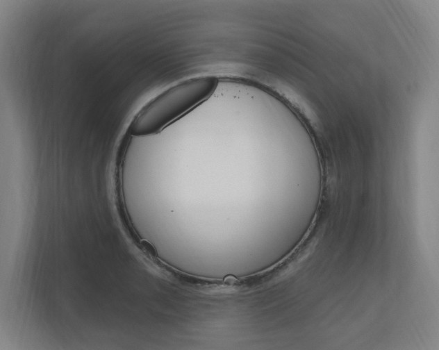 X0000111041085200906251133