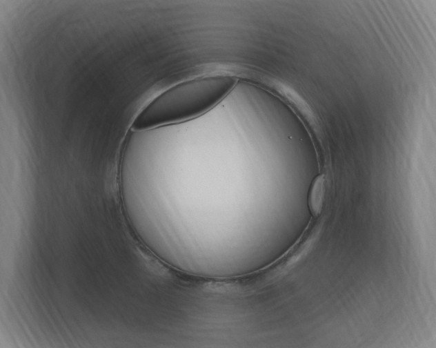 X0000111041089200906251133