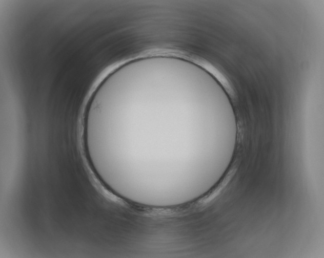 X0000111041094200906251133