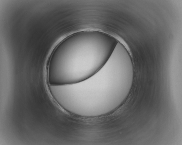 X0000111041096200906251133