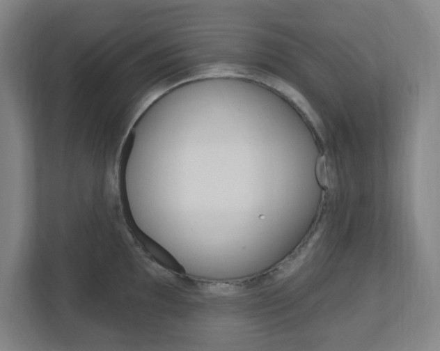 X0000111041097200906251133