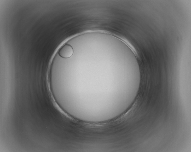 X0000111041100200906251133