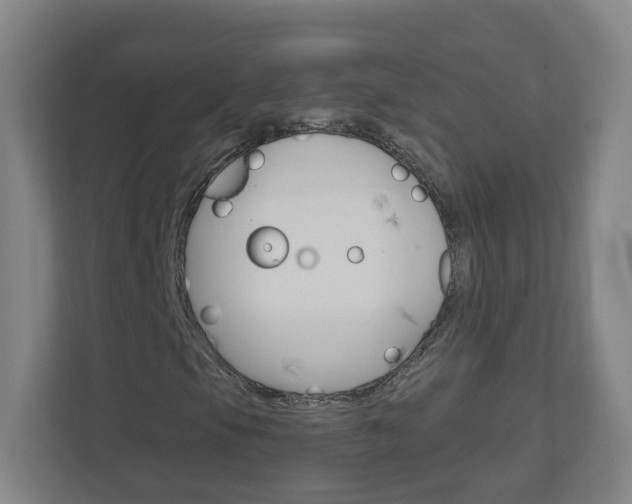 X0000111041105200906251132