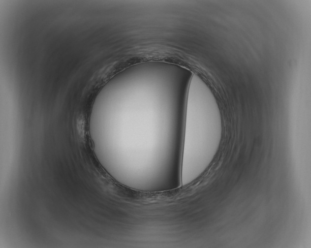 X0000111041108200906251132