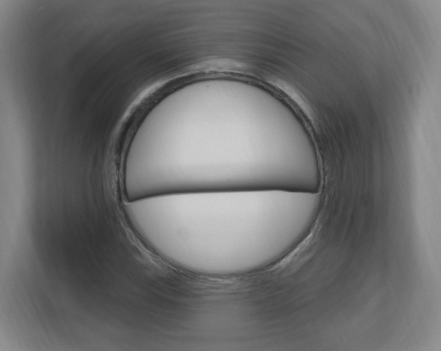 X0000111041115200906251132