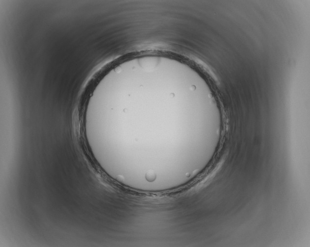 X0000111041117200906251132