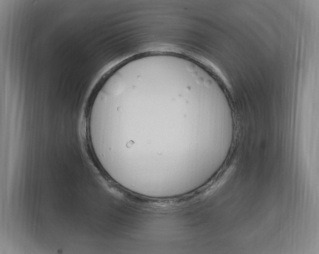 X0000111041125200906251132