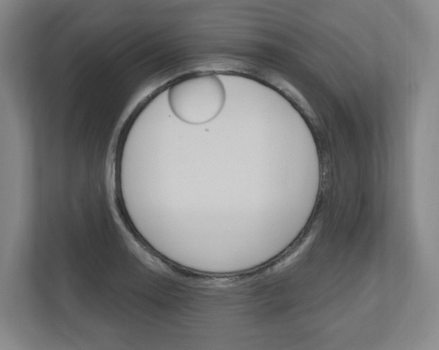 X0000111041130200906251132
