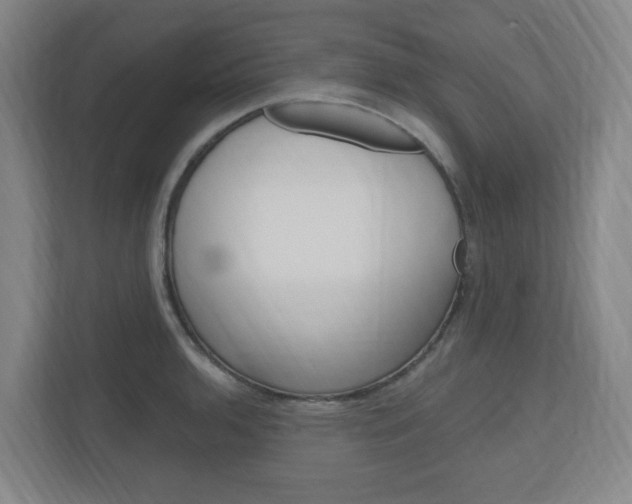 X0000111041136200906251132