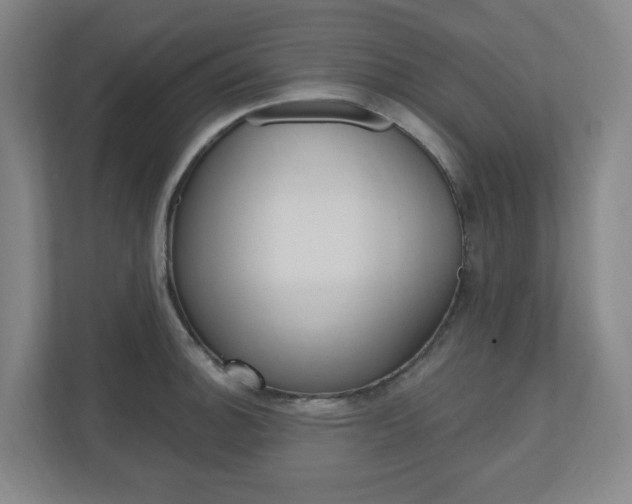X0000111041140200906251132