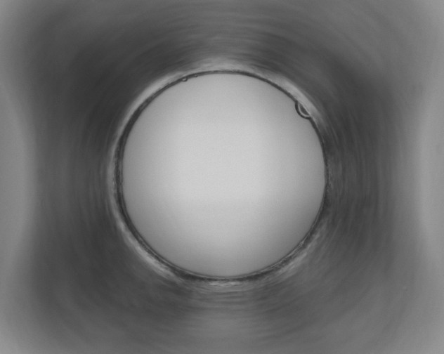 X0000111041142200906251132