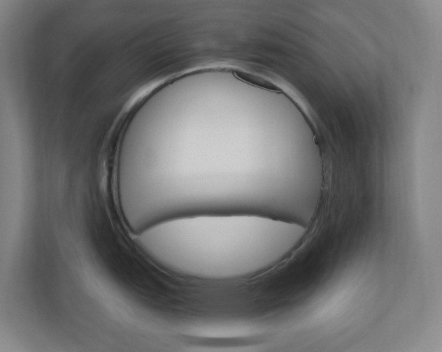 X0000111041151200906251133