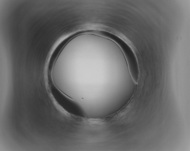 X0000111041152200906251133