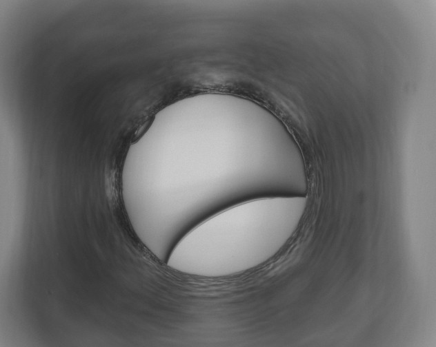 X0000111041156200906251132