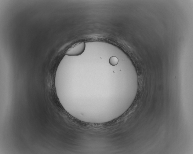 X0000111041158200906251132