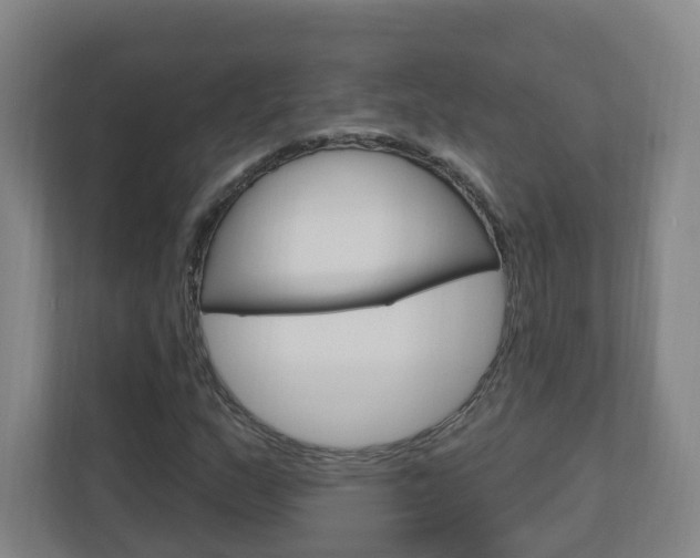 X0000111041159200906251132