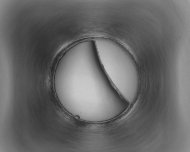 X0000111041163200906251132