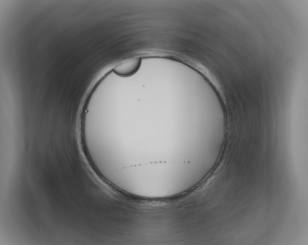 X0000111041187200906251131