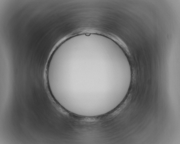 X0000111041190200906251131