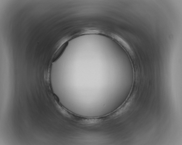 X0000111041193200906251131