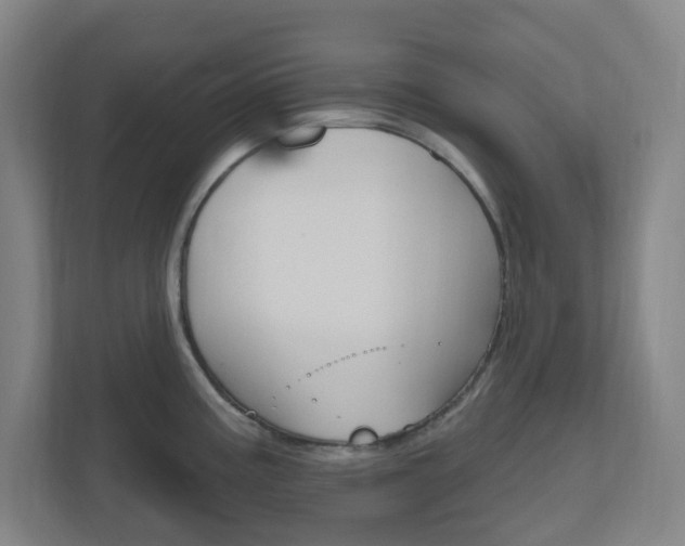 X0000111041195200906251131