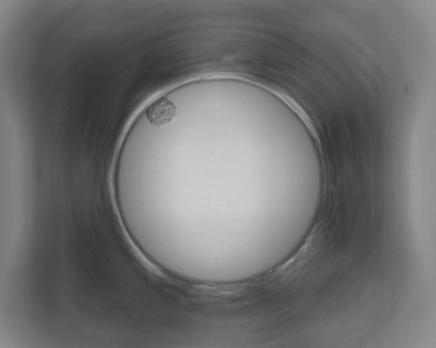 X0000111041197200906251131