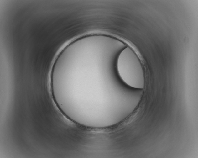 X0000111041199200906251131