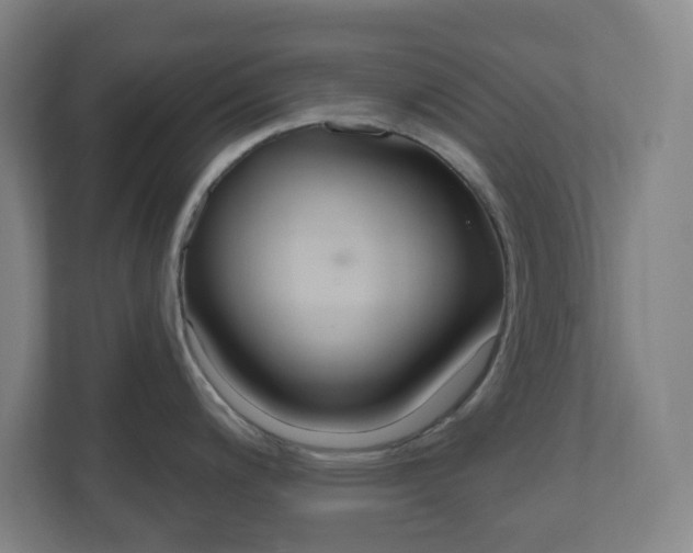 X0000111041200200906251131