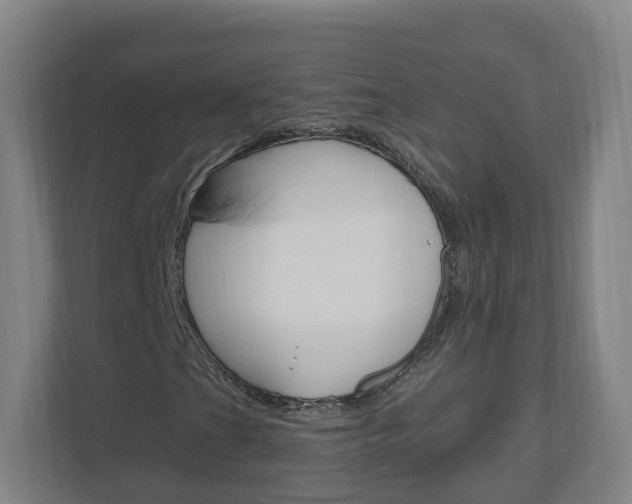 X0000111041201200906251131