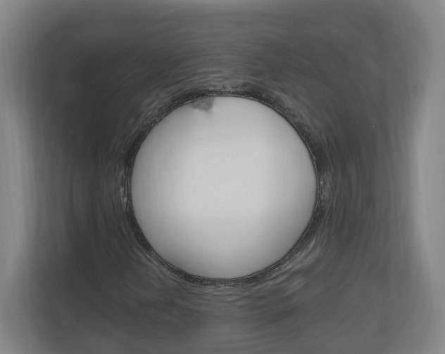 X0000111041202200906251131