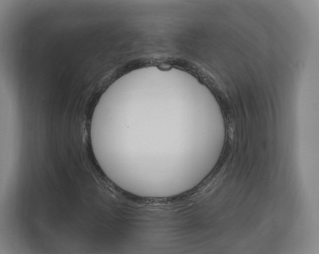 X0000111041204200906251131