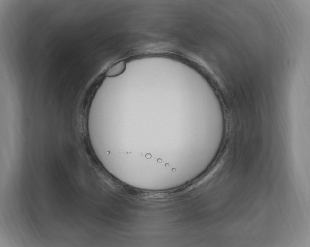 X0000111041211200906251131
